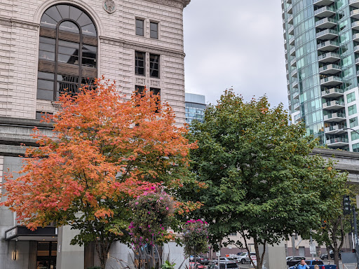 Westlake & Olive - Thumbnail