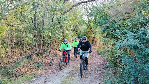 Bike Tour Rimini - Thumbnail