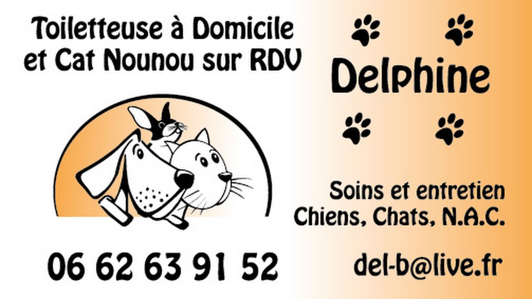 Benaiges Delphine Toilettage Toilettage A Domicile Chiens Chats Nac Et Cat Nounou Visite A Domicile A Romans Sur Isere Et Ses Alentours Km Pour Le Toilettage