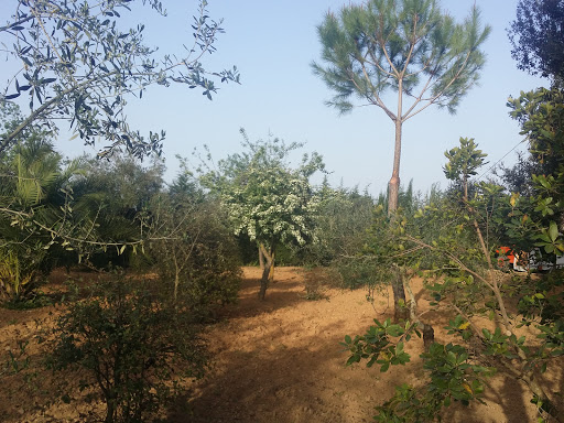 Paraje de Gatos — Parque Natural de Doñana - Thumbnail