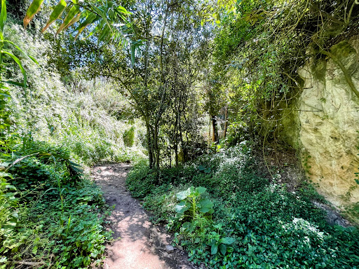 Sendero del Álamo