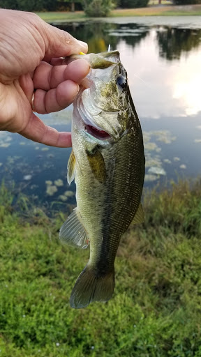 Bethany Ridge Park - Thumbnail