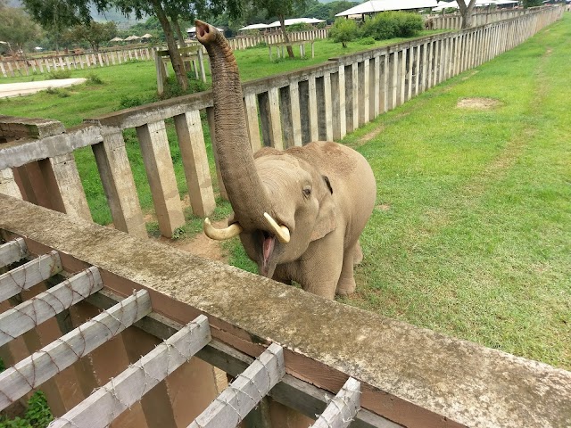 Elephant Nature Park