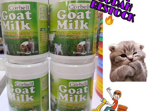 AnimalArk Bandar Baru Bangi - Kedai Haiwan Kesayangan di Seksyen 8 