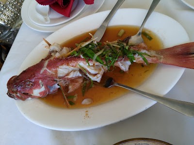 Photos of Shanghai Seafood House