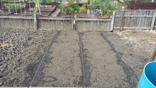 Allotments Gallery - United Kingdom