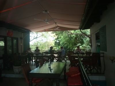 Photos of Terrazza