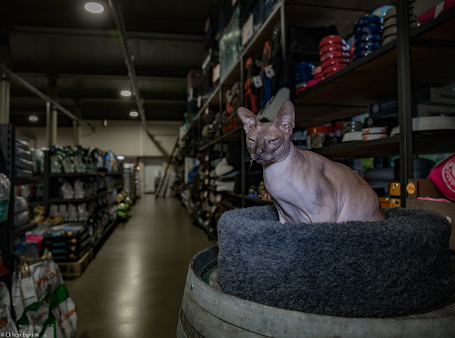 Zooveel Voor Dieren