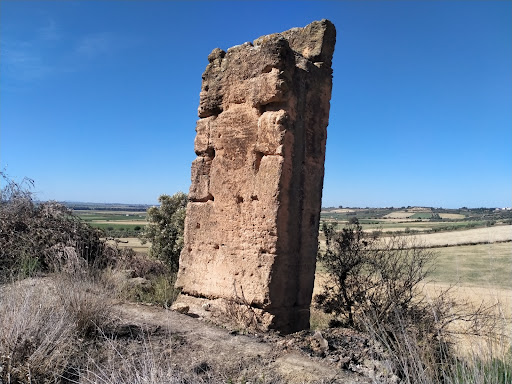 Torre Vega Gallery - Spain