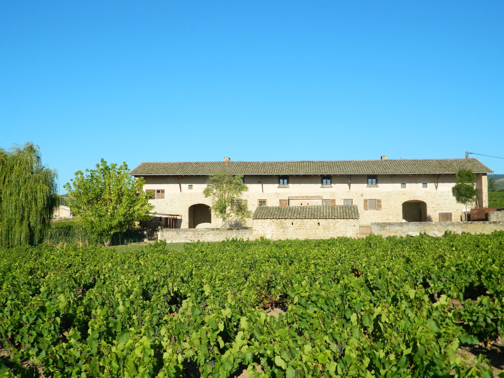 Gite l'Etape Vigneronne
