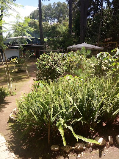 Photos of San Juan Agroexport