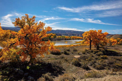Colorado Riverfront Trail - West Fruita Trailhead - Thumbnail