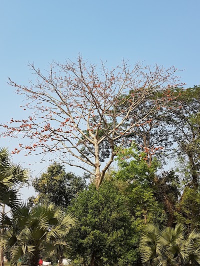 Photos of Nurjahan Eco Park