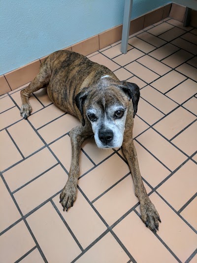 Photos of Merrill Animal Clinic