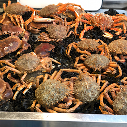 Photo n°6 de Poissonnerie chez Lulu à Cherbourg-en-Cotentin (Mareyeur)