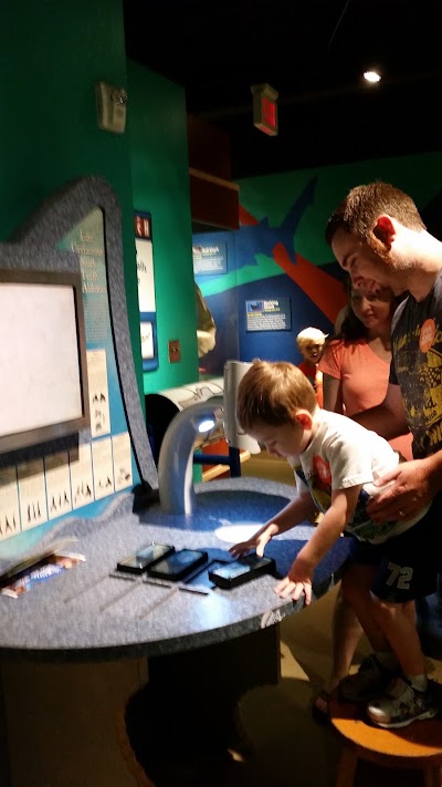 Photos of Red Mango - McWane Science Center
