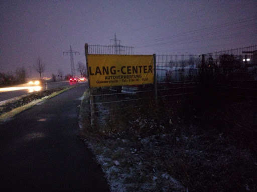 Lang Center - Thumbnail