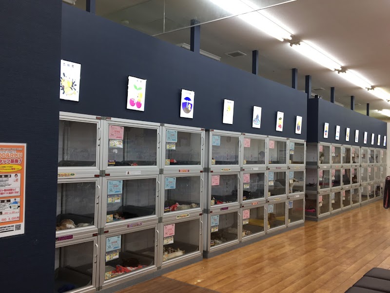 ペットショップCoo&RIKU 宇土シティモール店