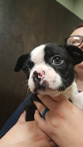Meadowbrook Veterinary Clinic - North - Thumbnail