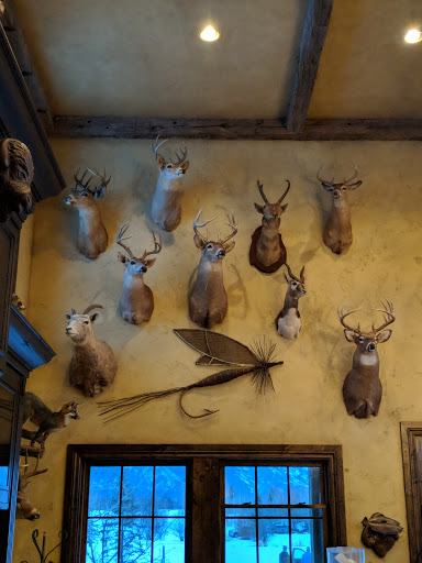 Buckoff Saloon