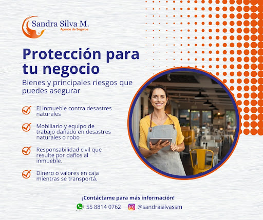 Sandra Silva ssm - Thumbnail