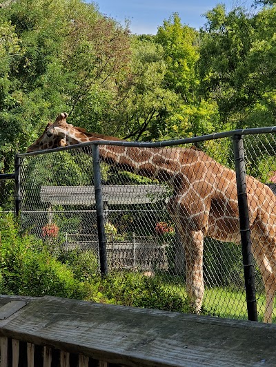 Erie Zoo