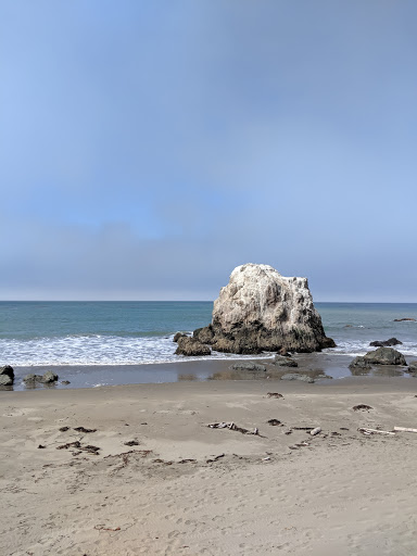 Hearst San Simeon State Park Gallery - United States
