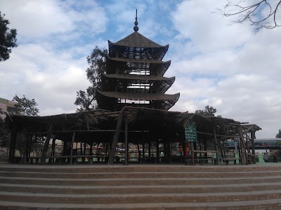 Photos of Japanese Gardens