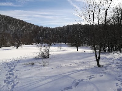 Kocayayla Gözleme Salonu