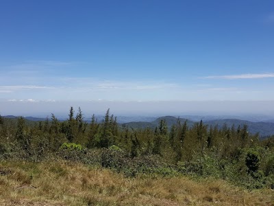 Photos of Mount Kinangop
