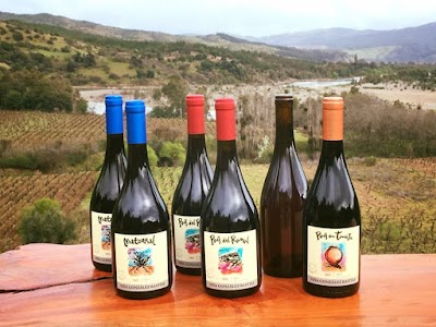 Photos of Vi&ntilde;a Gonzalez Bastias