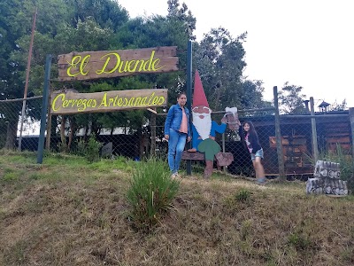 Photos of Restaurant Y Cervecer&iacute;a El Duende