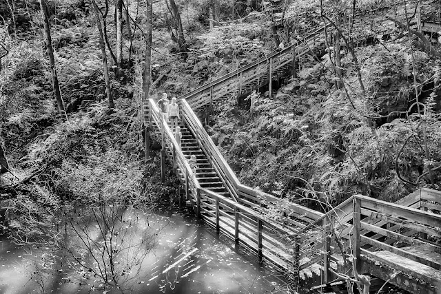Devil's Millhopper Geological State Park