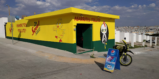 ABARROTES POLLITO - Visual