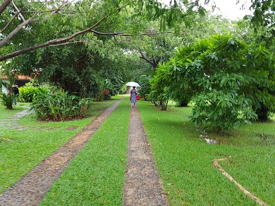 Photos of Samanea Beach Resort