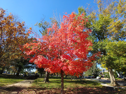Quincy Park Gallery - United States