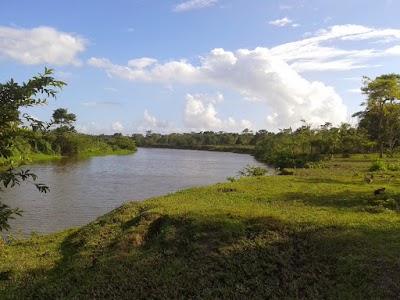 Photos of Servicenter Palacios