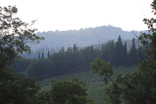 Villa Pianvecchio by Tenuta di Carleone - Thumbnail
