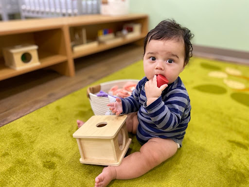Growing Seeds Montessori School Gallery - United States