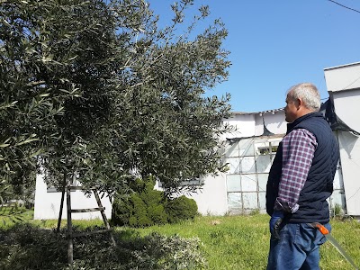 Edremit Zeytincilik Uretme Istasyonu Müdürlüğü