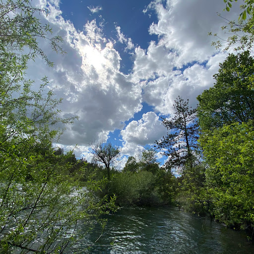 Downriver Park Gallery - United States