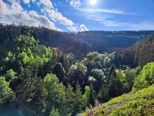 Ziemestalbrücke - Visual
