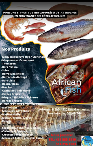 African fish - Visual