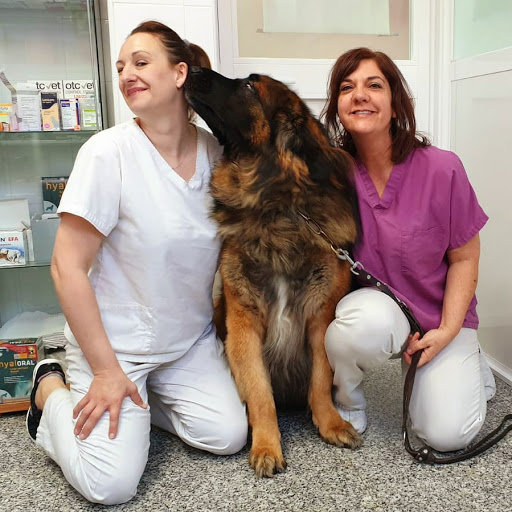 Clínica Veterinaria Méntrida