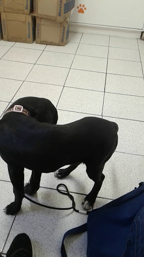 Comentarios y opiniones de Clínica Veterinaria Covadonga