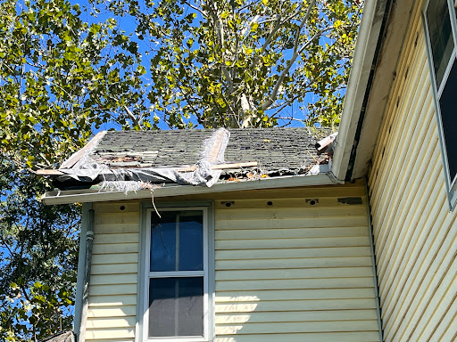 Tree Frog Roofing - Visual