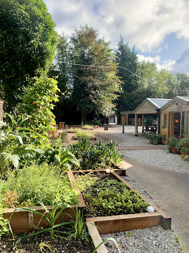 site_photo2