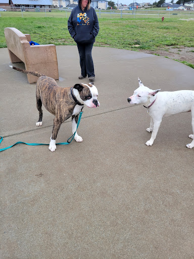 Crescent City Dog Town
