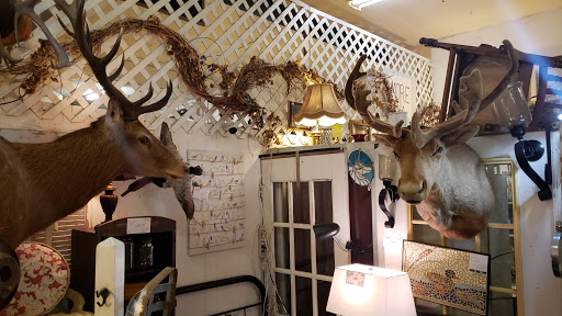 Southern Crossing Antique Mall - Thumbnail