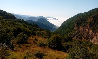 Photos of Khorram Garden